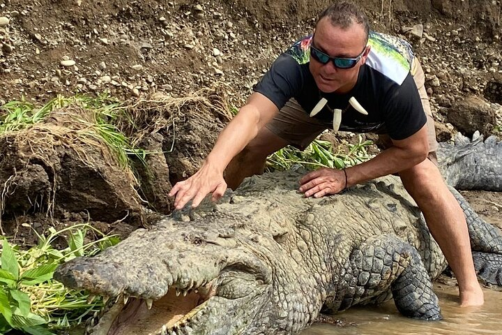 This is how we teach about crocs in this tour!